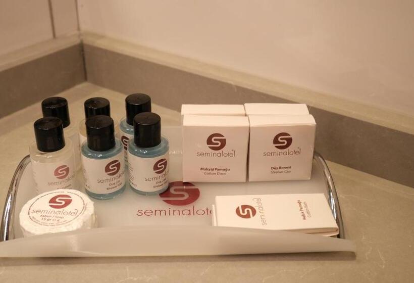 スタンダードルーム, Seminal Hotel Taksim