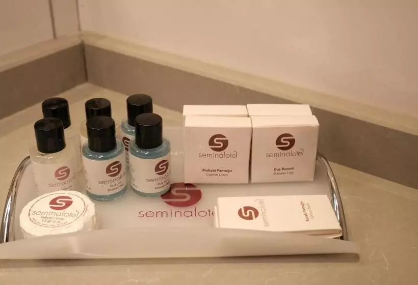 スタンダードルーム, Seminal Hotel Taksim