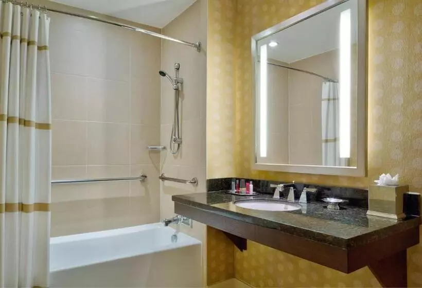 キングサイズベッドのスタンダードルーム, Wyndham Atlanta Buckhead Hotel & Conference Center
