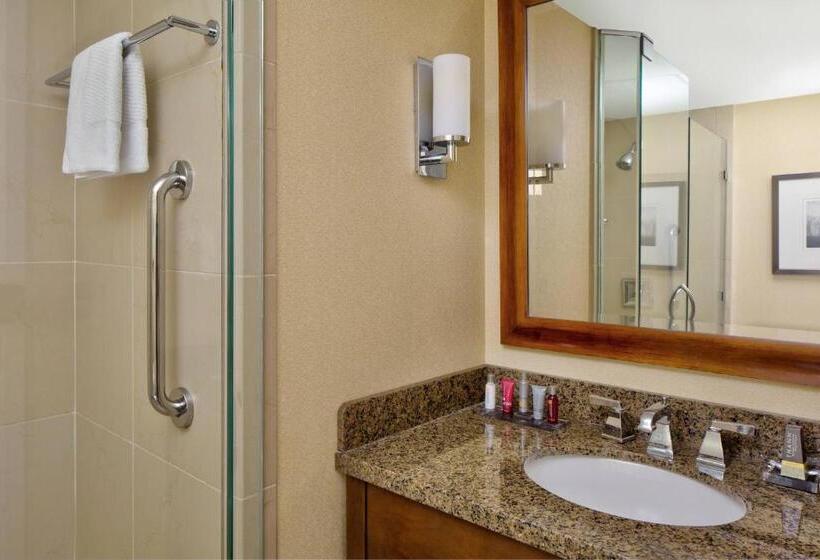 חדר סטנדרט עם מיטת קינג, Wyndham Atlanta Buckhead Hotel & Conference Center