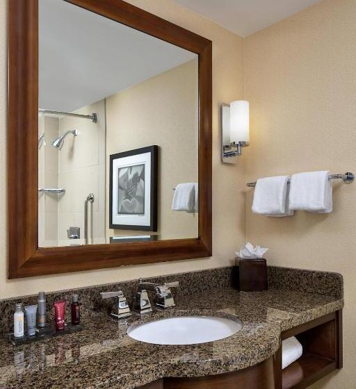 스탠다드 룸 킹사이즈 침대, Wyndham Atlanta Buckhead Hotel & Conference Center