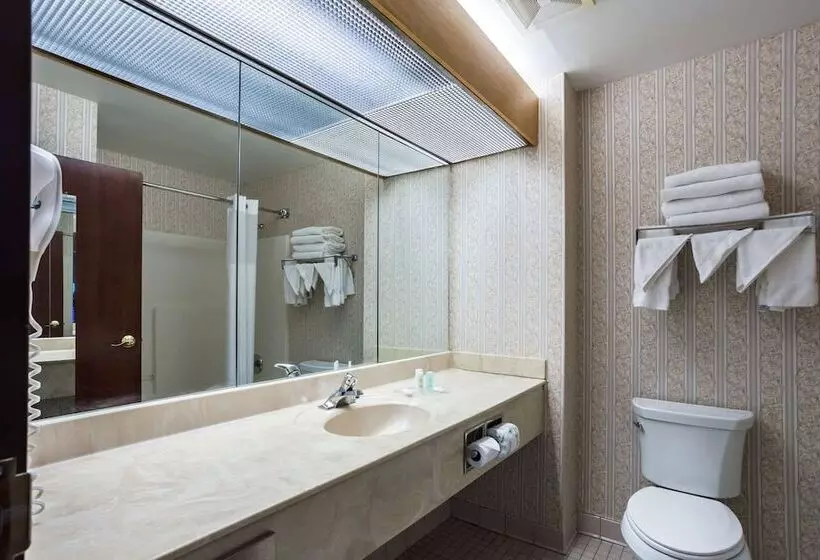 Sviitti, Comfort Suites New Orleans East