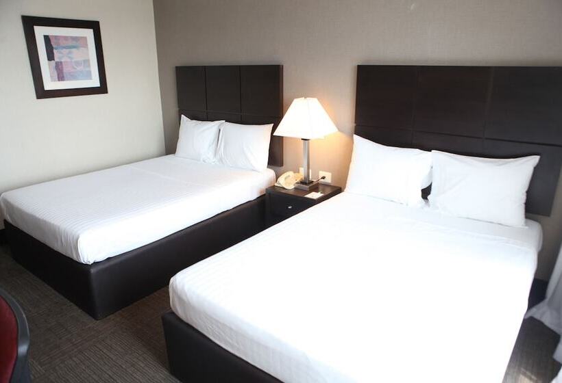 غرفه قياسيه سريرين مزدوجين, Everest Ciudad Victoria