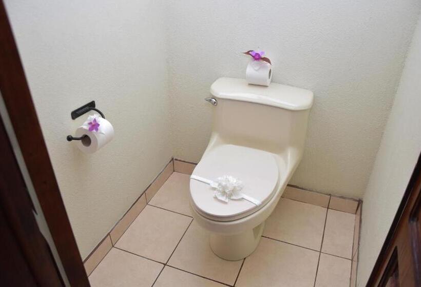 غرفة قياسية مطلّة علي الحديقة, Arenal Volcano Inn