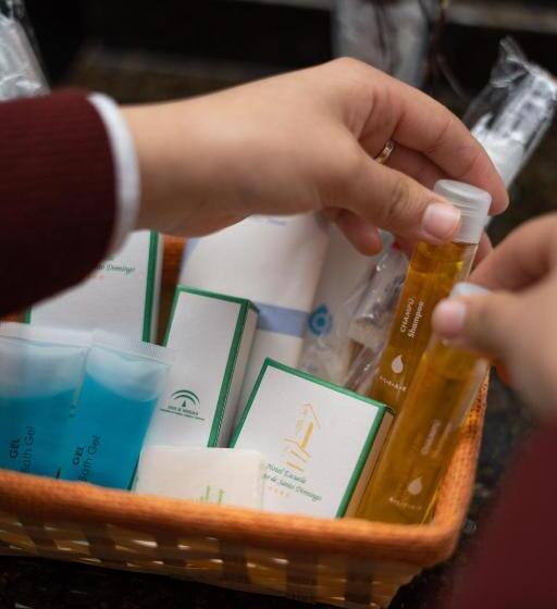 Номер Стандарт Трехместный, Escuela Convento Sto Domingo