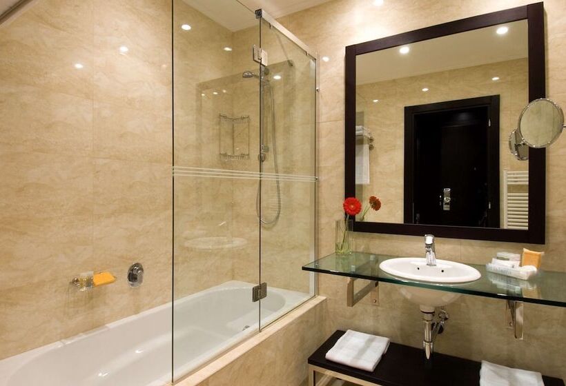 חדר סטנדרט עם נוף, NH Timisoara