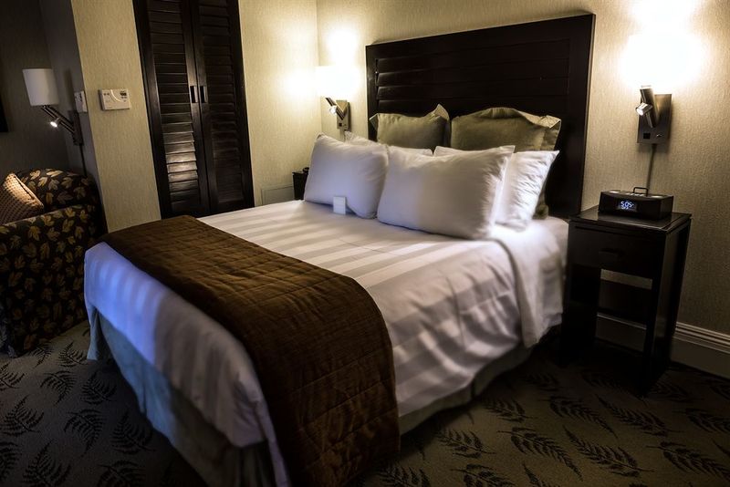 חדר סטנדרט עם נוף, NH Timisoara