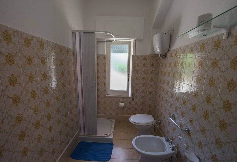 Номер Стандарт, Umberto