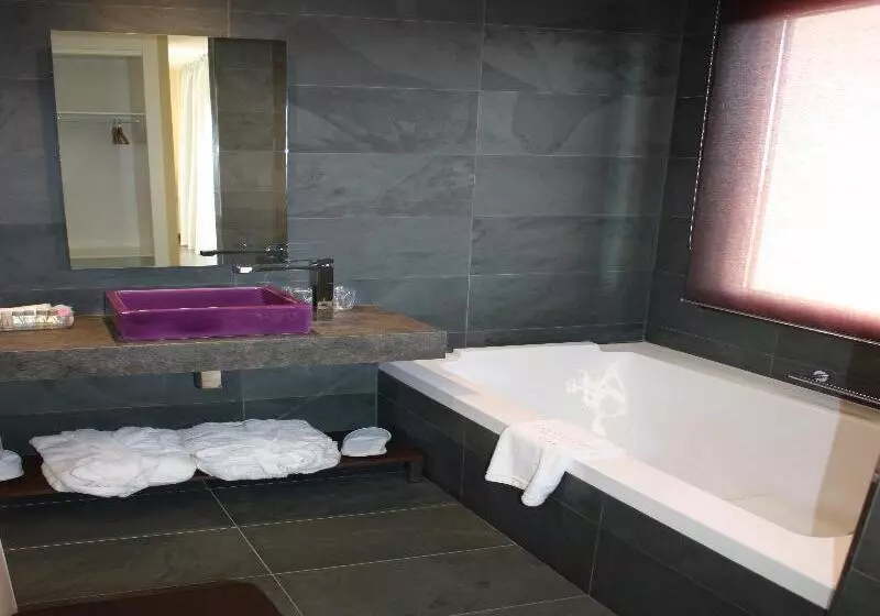 スタンダードルーム, Spa Villa Nazules