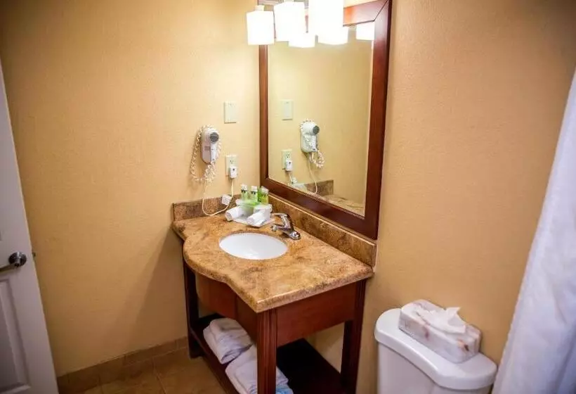 キングサイズベッドのスタンダードルーム, Holiday Inn Express Hotel & Suites Cocoa Beach, An Ihg