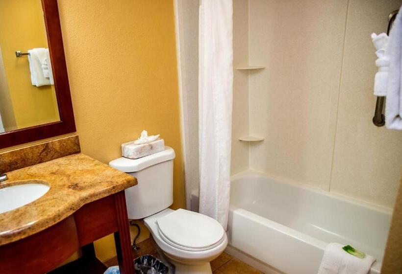 Номер Стандарт, Holiday Inn Express Hotel & Suites Cocoa Beach, An Ihg