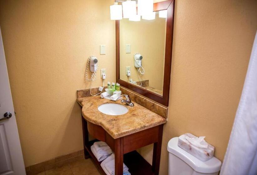 غرفة قياسية, Holiday Inn Express Hotel & Suites Cocoa Beach, An Ihg