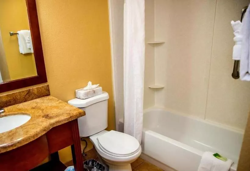 身障者適用キングサイズベッドルーム, Holiday Inn Express Hotel & Suites Cocoa Beach, An Ihg