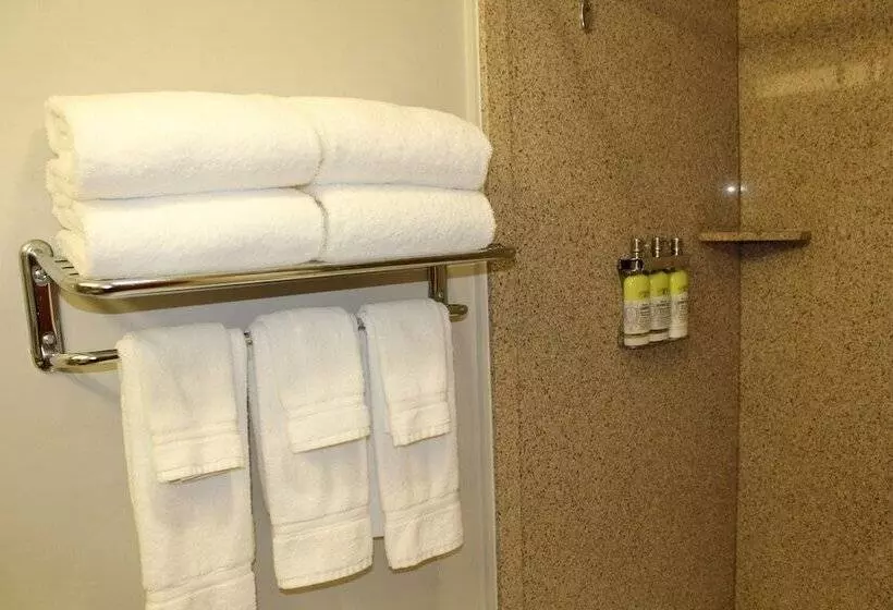スイート, Holiday Inn Express Hotel & Suites Tucson Mall, An Ihg