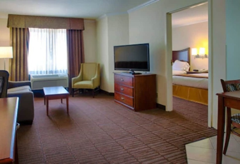 스위트, Holiday Inn Express Hotel & Suites Tucson Mall, An Ihg