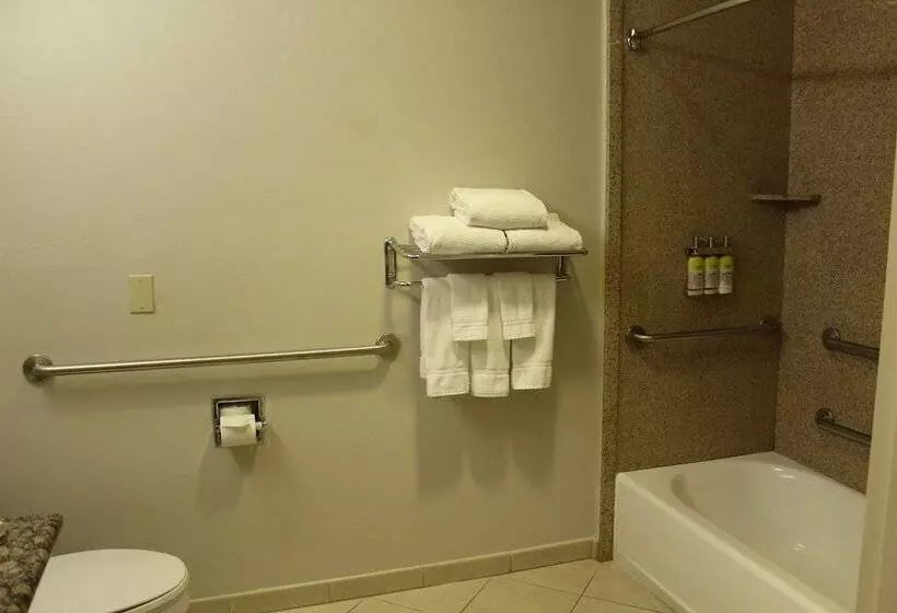 身障者適用スイートルーム, Holiday Inn Express Hotel & Suites Tucson Mall, An Ihg