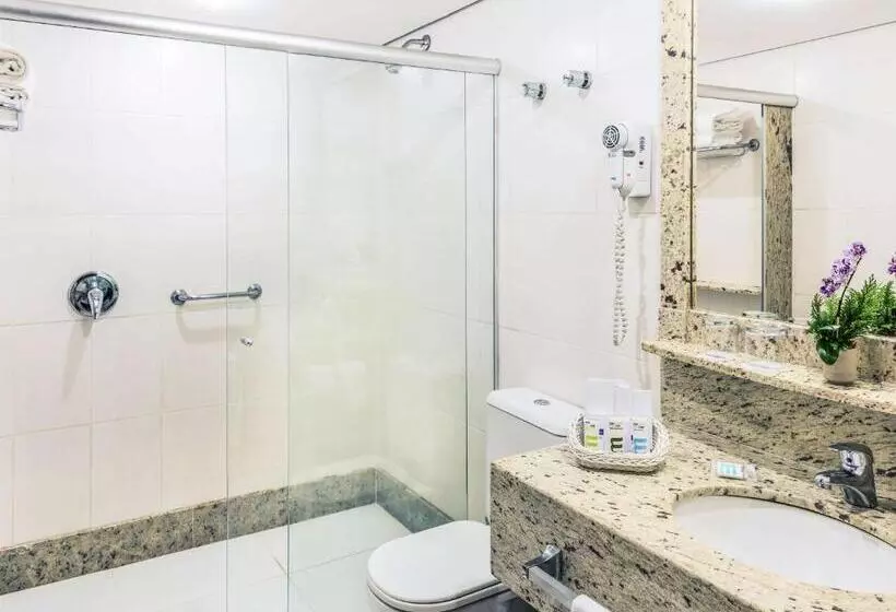 اتاق استاندارد, Caesar Business Belo Horizonte Belvedere