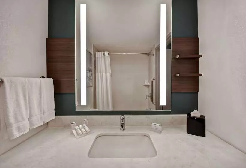 ジュニアスイート, Hilton Garden Inn Houston/galleria Area
