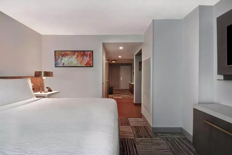 キングサイズベッドのスタンダードルーム, Hilton Garden Inn Houston/galleria Area
