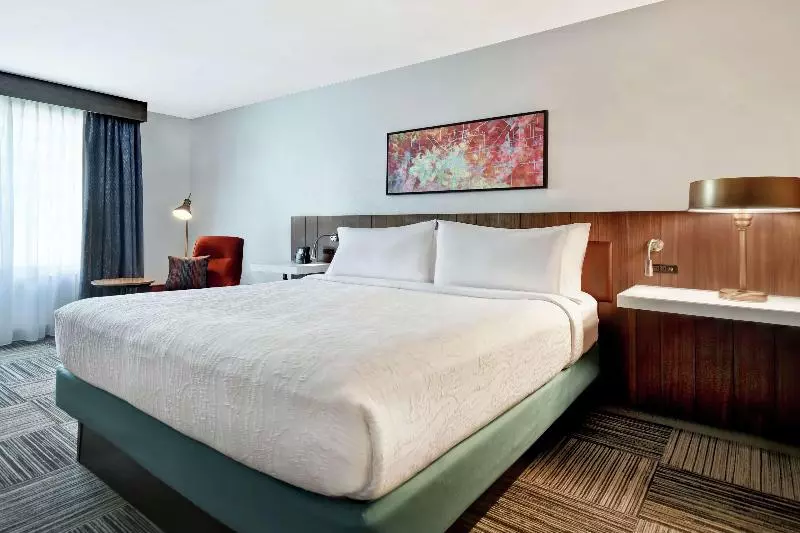 キングサイズベッドのスタンダードルーム, Hilton Garden Inn Houston/galleria Area