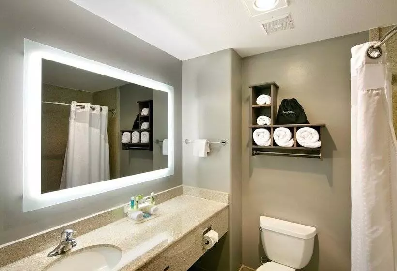 سوییت, Holiday Inn Express Hotel & Suites Paso Robles, An Ihg