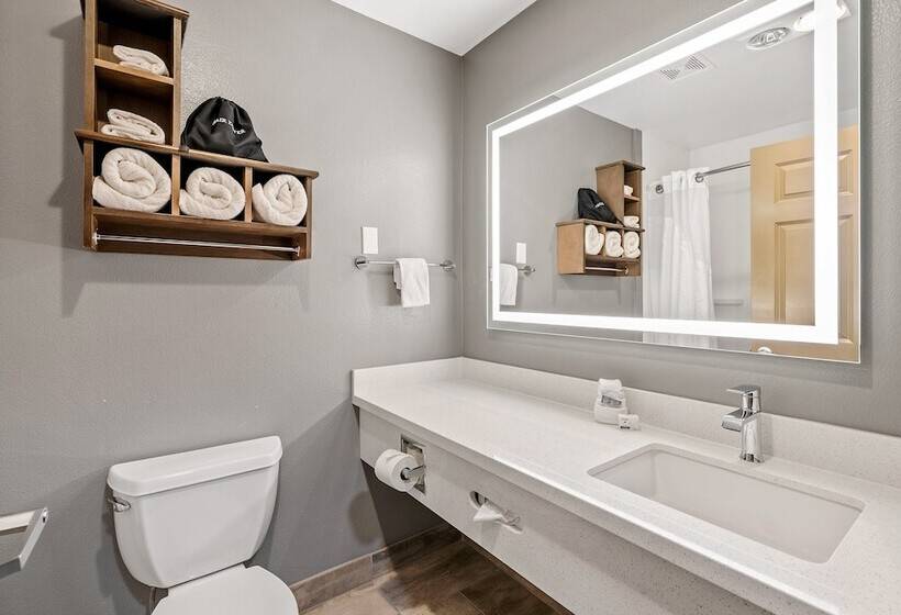 غرفة قياسية, Holiday Inn Express Hotel & Suites   Paso Robles, An Ihg