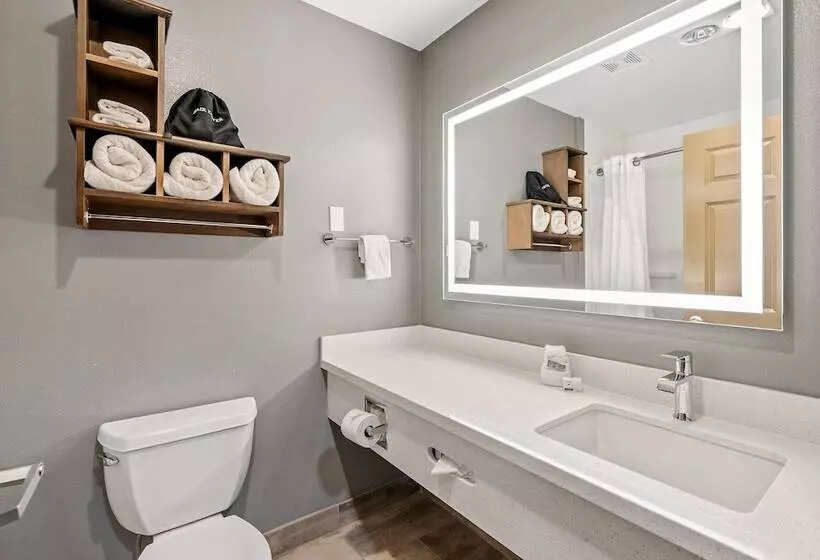 اتاق استاندارد, Holiday Inn Express Hotel & Suites Paso Robles, An Ihg