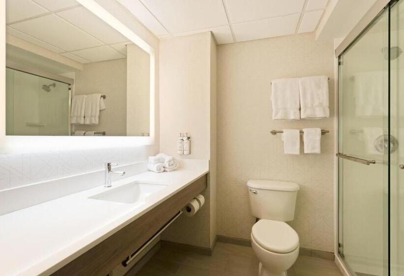 سوئیت با تخت بزرگ, Holiday Inn Express Hauppauge Long Island, An Ihg