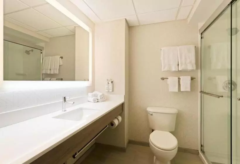 キングサイズベッドのスイートルーム, Holiday Inn Express Hauppauge Long Island, An Ihg