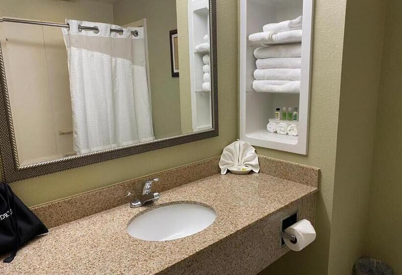 غرفة ديلوكس سرير كينج, Marguerite South Anaheim   Garden Grove, Trademark Collection By Wyndham