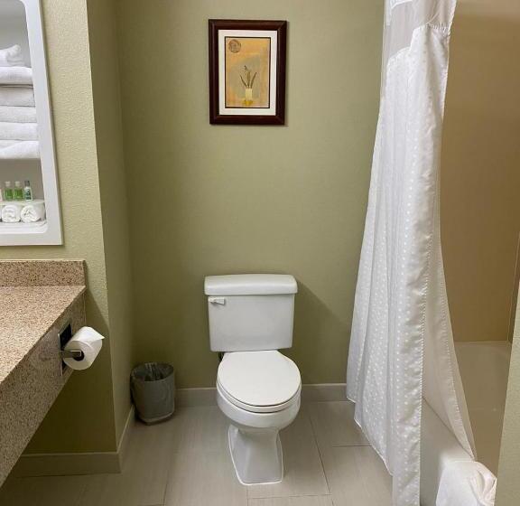 غرفة ديلوكس سرير كينج, Marguerite South Anaheim   Garden Grove, Trademark Collection By Wyndham