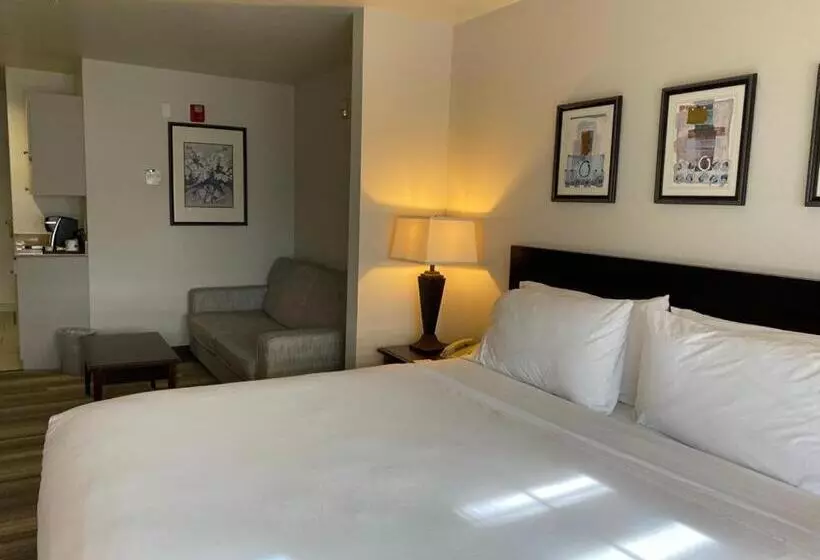 اتاق لوکس با تخت بزرگ, Marguerite South Anaheim   Garden Grove, Trademark Collection By Wyndham