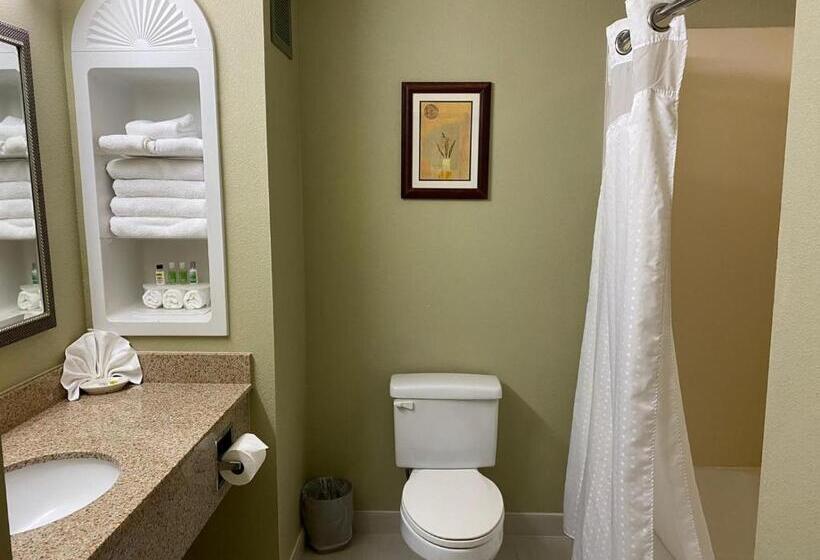 غرفة قياسية سرير كينج لذوى الإحتياجات الخاصة, Marguerite South Anaheim   Garden Grove, Trademark Collection By Wyndham