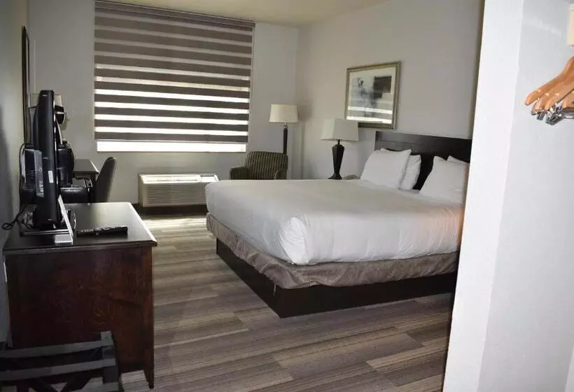 اتاق استاندارد با تخت بزرگ, Marguerite South Anaheim   Garden Grove, Trademark Collection By Wyndham