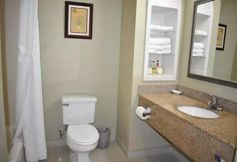 اتاق استاندارد با تخت بزرگ, Marguerite South Anaheim   Garden Grove, Trademark Collection By Wyndham