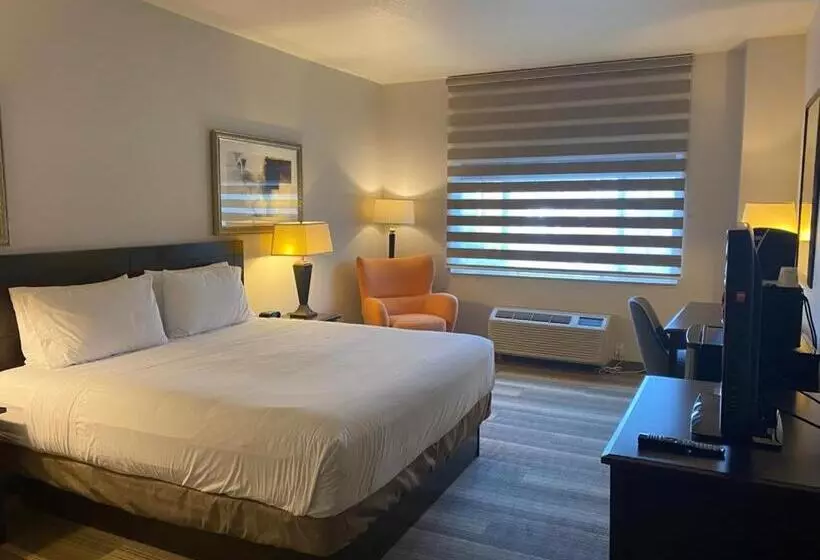 اتاق استاندارد با تخت بزرگ, Marguerite South Anaheim   Garden Grove, Trademark Collection By Wyndham