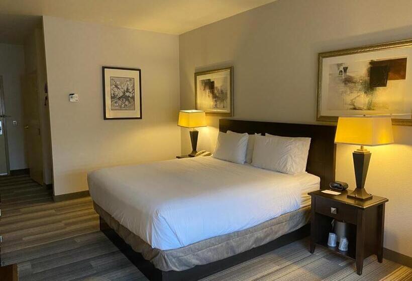 غرفة قياسية سرير كينج, Marguerite South Anaheim   Garden Grove, Trademark Collection By Wyndham