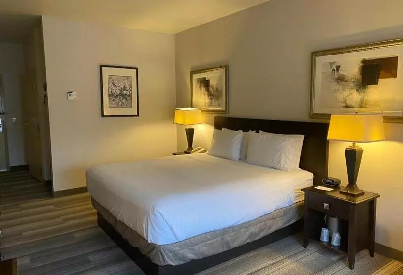 اتاق استاندارد با تخت بزرگ, Marguerite South Anaheim   Garden Grove, Trademark Collection By Wyndham