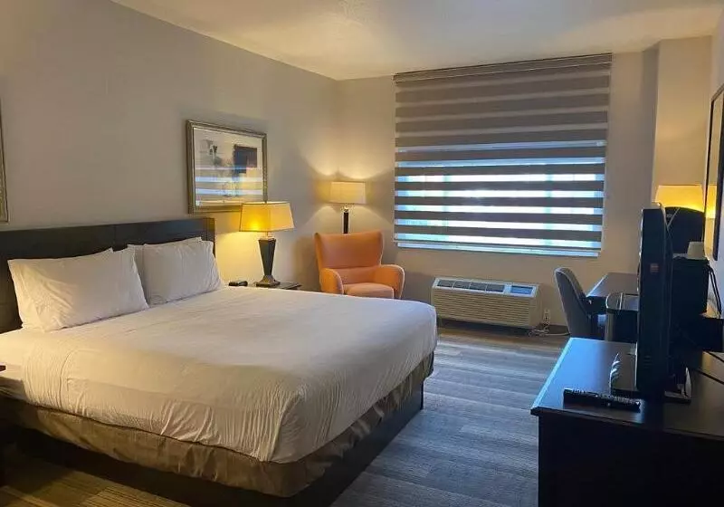 اتاق استاندارد با تخت بزرگ برای معلولان, Marguerite South Anaheim   Garden Grove, Trademark Collection By Wyndham