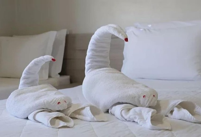 Номер Стандарт, Marruá