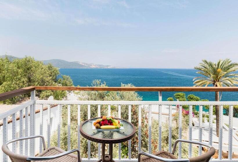 Номер Стандарт Вид на Море, Blue Dreams Resort Bodrum Ultra All Inclusive