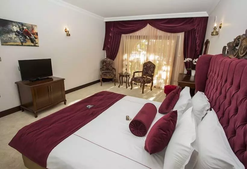 اتاق استاندارد, Le Chateau Lambousa
