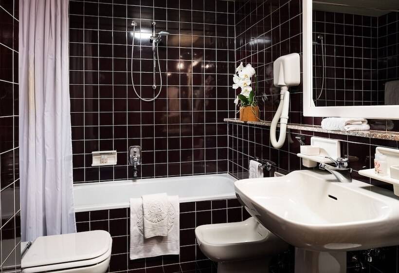 غرفة قياسية, Metropole