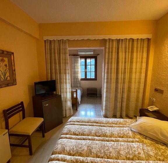 家庭山景房, Olympic