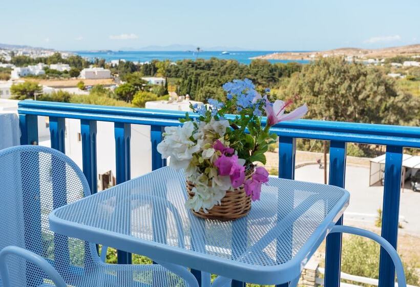 带海景的标准房, Pyrgaki