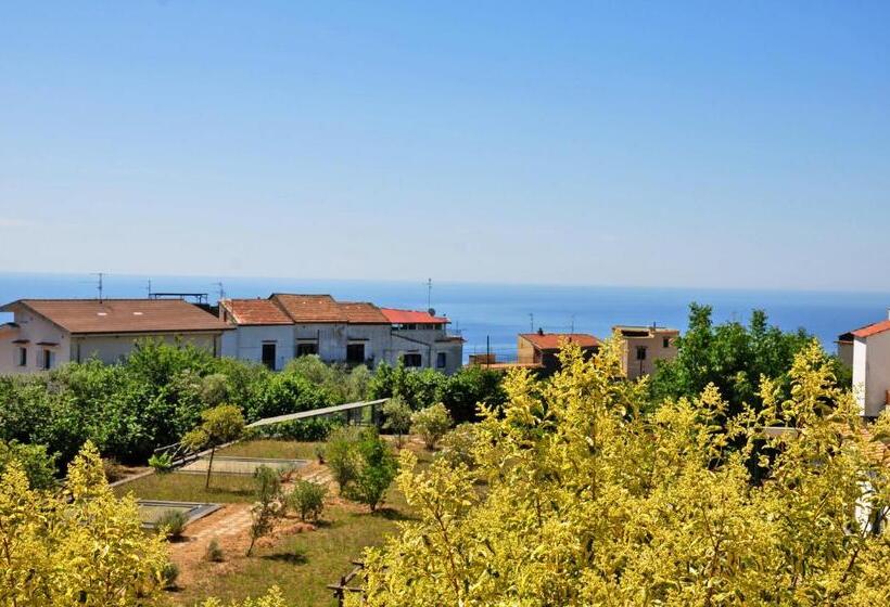 Номер Стандарт, Villa Fernanda