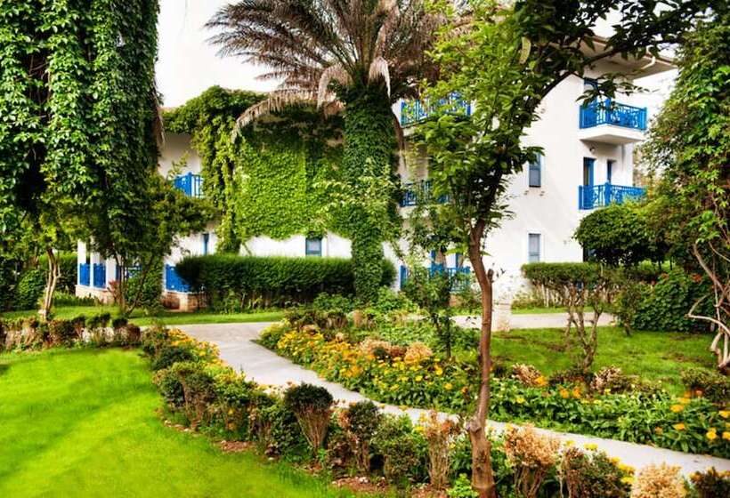 غرفة كلوب, Belconti Resort