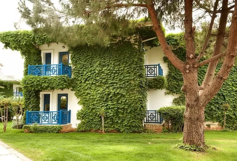 اتاق کلاب, Belconti Resort