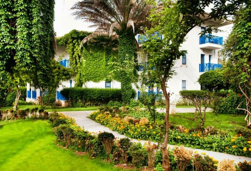 غرفة كلوب, Belconti Resort