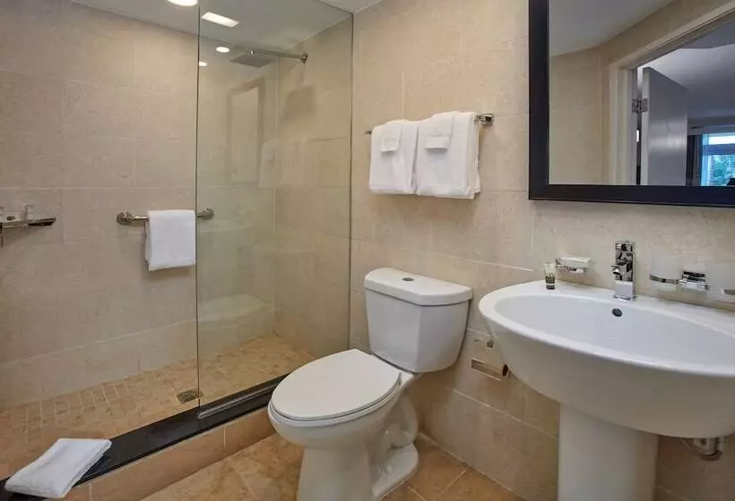استودیوی استاندارد, Divi Village Golf and Beach Resort